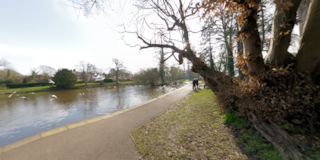 Midhurst - South Pond